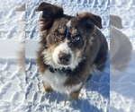 Small #4 Breeder Profile image