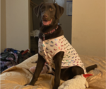 Small #17 Breeder Profile image