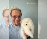 Small #32 Breeder Profile image