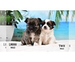 Small #8 Breeder Profile image