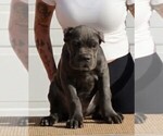 Small #6 Breeder Profile image