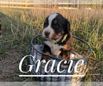 Small Photo #11  Breeder Profile in BONNERS FERRY, ID, USA