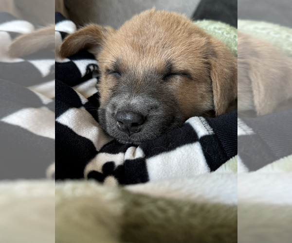 Medium Photo #3  Breeder Profile in HUNTINGTON, IN, USA