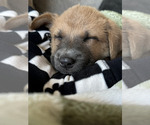 Small #2 Breeder Profile image