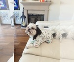 Small #2 Breeder Profile image