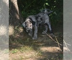 Small #11 Breeder Profile image