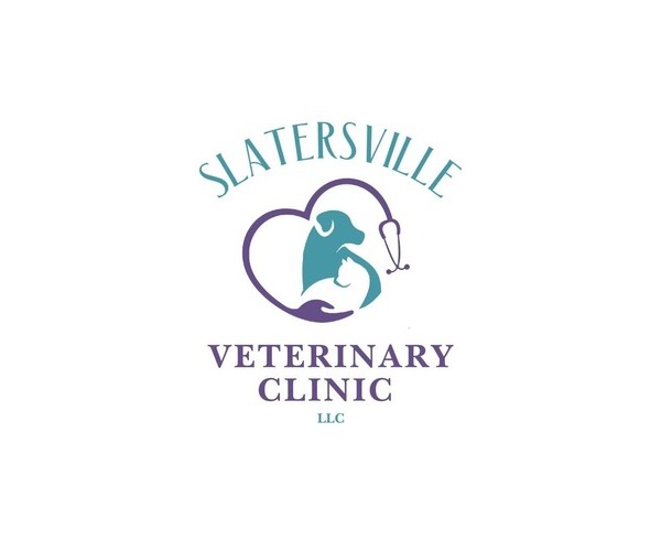 Medium Photo #3  Breeder Profile in NORTH SMITHFIELD, RI, USA