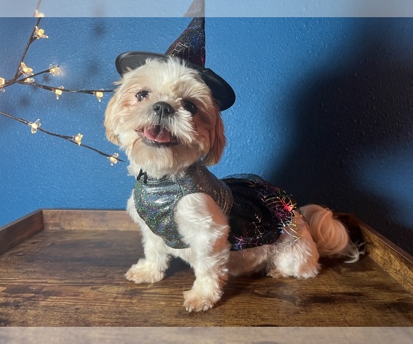 Medium Photo #1  Breeder Profile in WASHINGTON, IA, USA
