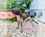 Small #6 Breeder Profile image
