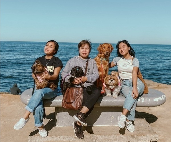 Medium Photo #1  Breeder Profile in SACRAMENTO, CA, USA