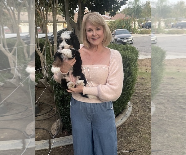 Medium Photo #9  Breeder Profile in BAKERSFIELD, CA, USA