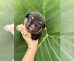 Small #2 Breeder Profile image
