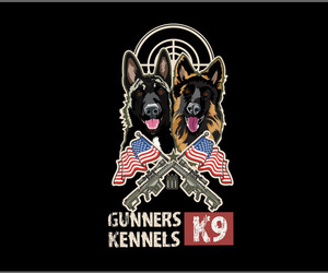 German Shepherd Dog Dog Breeder in FONTANA,  USA