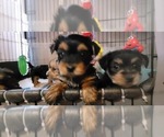 Small #325 Breeder Profile image