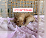 Small #3 Breeder Profile image