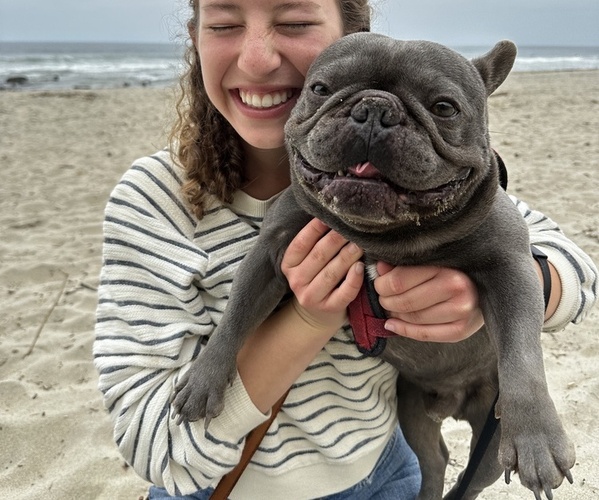 Medium Photo #2  Breeder Profile in SANTA ANA, CA, USA