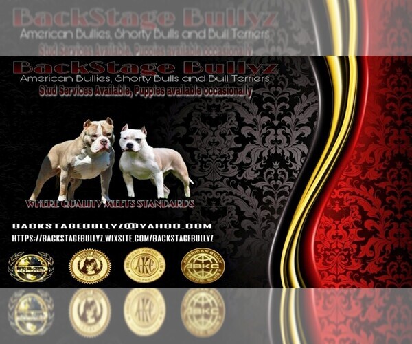Medium Photo #1  Breeder Profile in BATTLE CREEK, MI, USA