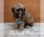 Small #8 Breeder Profile image