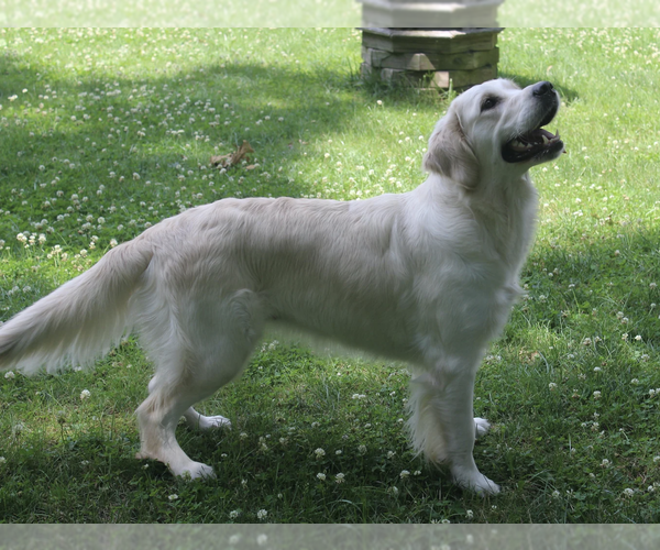 Medium Photo #9  Breeder Profile in PASADENA, MD, USA