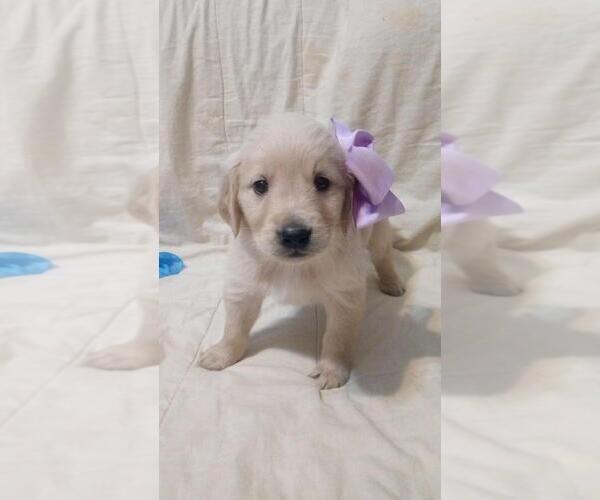 Medium Photo #9  Breeder Profile in BROOKSVILLE, KY, USA