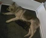 Small #10 Breeder Profile image