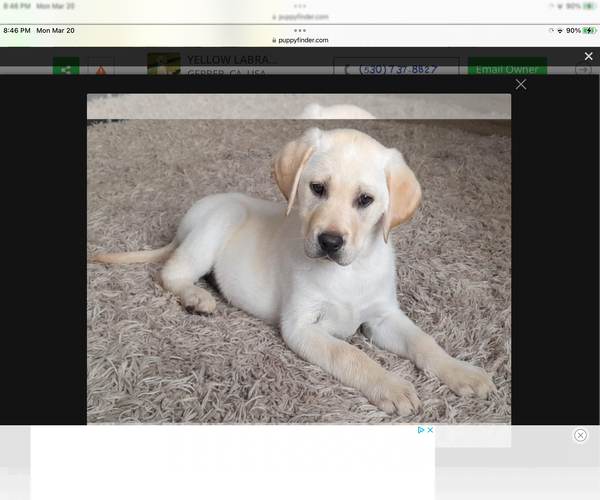 Medium Photo #1  Breeder Profile in WILLITS, CA, USA