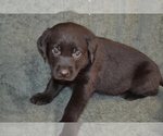 Small #7 Breeder Profile image