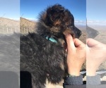 Small #107 Breeder Profile image