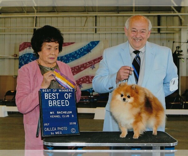 Medium Photo #1  Breeder Profile in SALEM, OR, USA