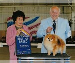 Small breeder photo