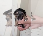 Small #50 Breeder Profile image