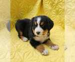 Small #8 Breeder Profile image