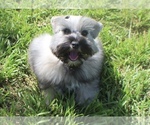 Small #6 Breeder Profile image