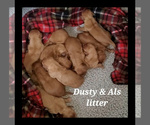 Small #2 Breeder Profile image