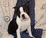 Small #10 Breeder Profile image