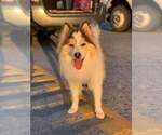 Small #10 Breeder Profile image