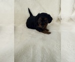 Small #2 Breeder Profile image
