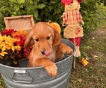 Small #4 Breeder Profile image