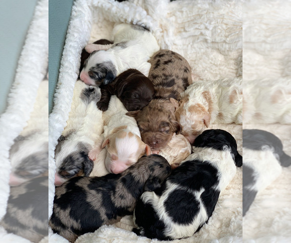 Medium Photo #1  Breeder Profile in BRANCH, MN, USA