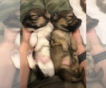 Small #14 Breeder Profile image