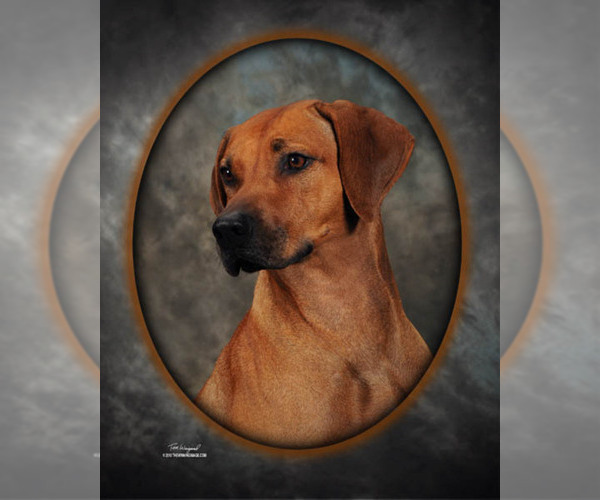 Medium Photo #3  Breeder Profile in CALDWELL, TX, USA