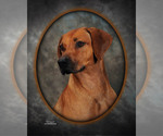 Small #2 Breeder Profile image