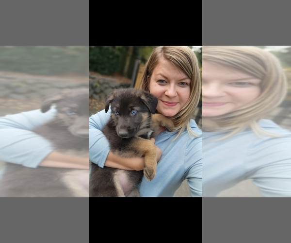 Medium Photo #1  Breeder Profile in LAKE TAPPS, WA, USA