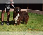 Small #13 Breeder Profile image