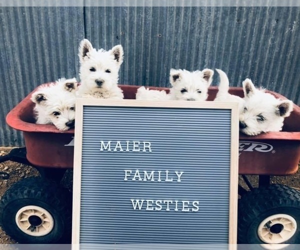 Medium Photo #1  Breeder Profile in PUEBLO, CO, USA