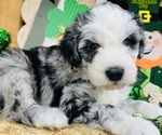 Small #10 Breeder Profile image