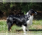 Small #1 Breeder Profile image