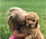 Small #13 Breeder Profile image
