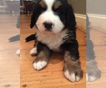 Small #3 Breeder Profile image