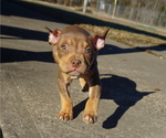 Small #7 Breeder Profile image